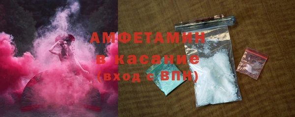 прущие грибы Аркадак