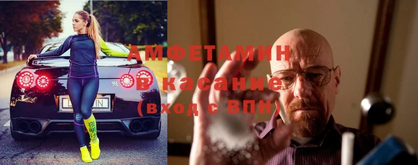 прущие грибы Аркадак