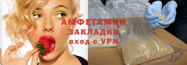 прущие грибы Аркадак