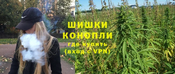 прущие грибы Аркадак