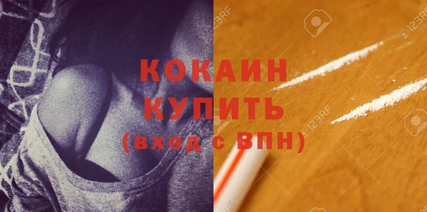 прущие грибы Аркадак