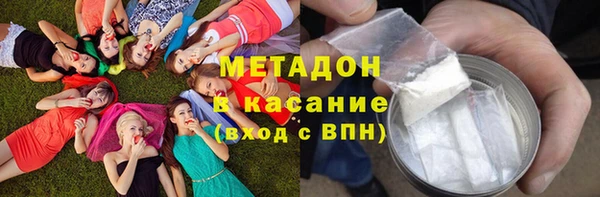 прущие грибы Аркадак