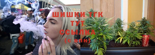 прущие грибы Аркадак