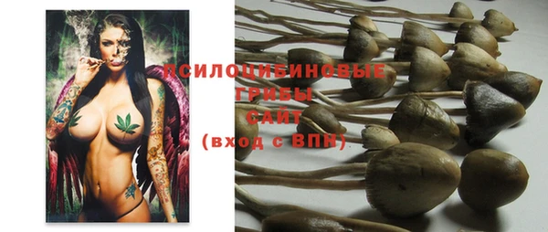 apvp Арсеньев